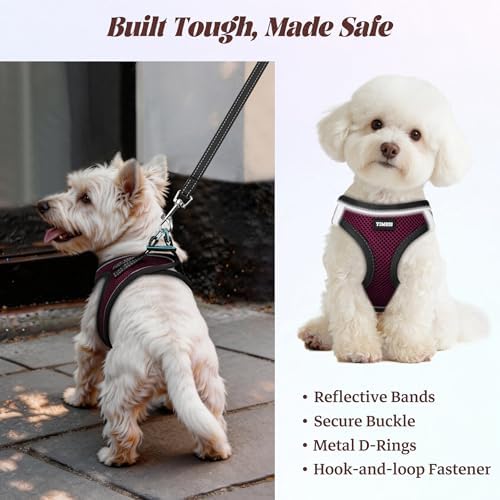 No Pull Dog Puppy Harness and Leash Set Reflective Mesh Vest X-Small - Image 5
