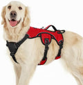 rabbitgoo Escape Proof Dog Harness by rabbitgoo
