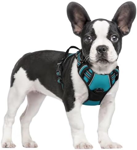 rabbitgoo Dog Harness, No Pull for Small Dogs by rabbitgoo