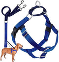2 Hounds Design Freedom No Pull Dog Harness and Leash, 5/8" MD, Royal Blue by 2HoundsDesign
