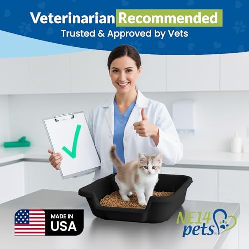 KittyGoHere Senior Cat Litter Box Small - Image 4