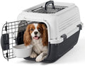 Magshion 22 Inch Hard-Sided Dog Cat Carrier by Magshion