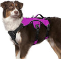 rabbitgoo Escape Proof Dog Harness by rabbitgoo