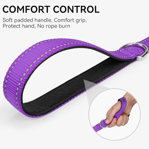 Joytale Reflective Dog Leash for Medium & Large Dogs, 5 FT x 1" - Image 3