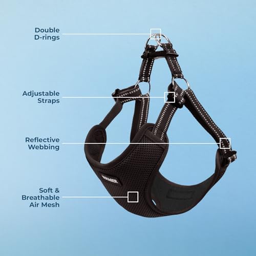 Voyager Step-in Flex Adjustable Dog Harness - Image 3