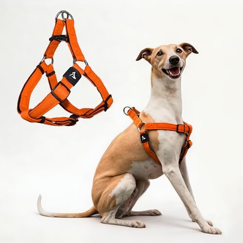 Kruz No Pull Dog Harness Heavy-Duty Pet Harness by KRUZPET