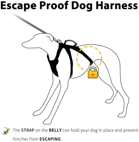 Huntboo Escape Proof Dog Harness, No Pull Reflective Harness - Image 3