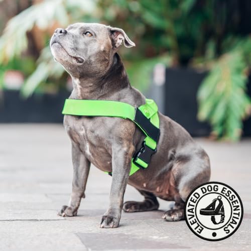 Dog Friendly Co. Dog Harness for Large Breeds - Image 5