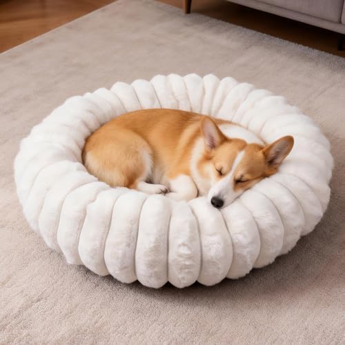 Donut Small Medium Dog Bed Washable Kitty & Puppy Bed, 23in White by VhenWhen