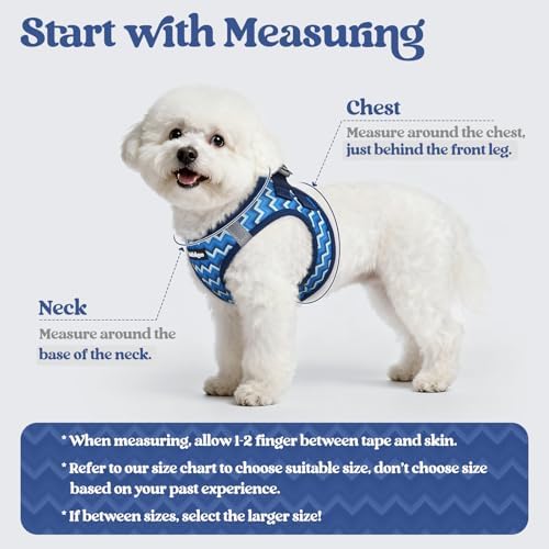 rabbitgoo Dog Harness Medium Sized and Leash Set, Step-in Puppy Pet Vest - Image 2