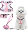 PUPTECK Dog Harness and Leash Set Small Sized, Step in No Pull Adjustable Puppy by PUPTECK