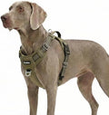 Funfox Dog Harness No Pull, Adjustable Pet Vest Harness, Super Soft Material by MyFUNFOX