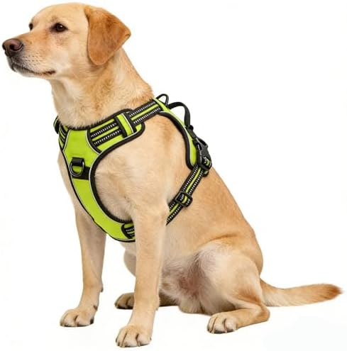 Green No-Pull Dog Harness with 2 Leash Clips，Soft Padded Vest - Image 4