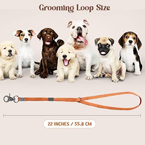 Pet Grooming Loop for Dogs - Image 2
