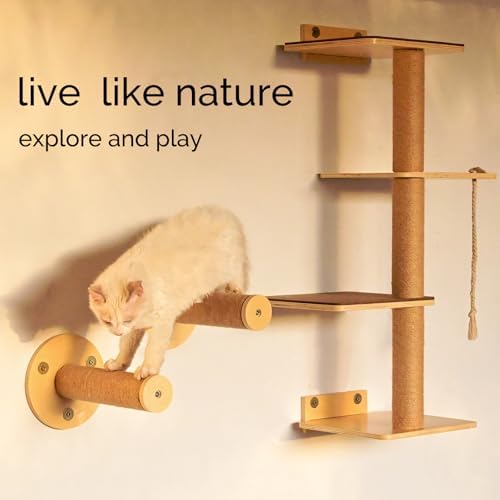 Cat Window Perch and Cat Wall Shelves 2 in 1 Cat Scratching Activity Tree Wall - Image 3