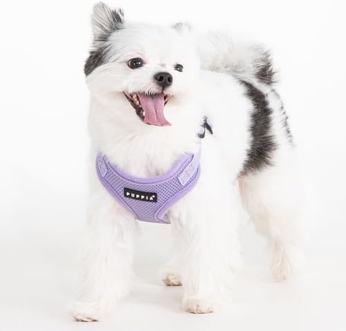 Puppia Comfort Dog Harness C Fashionable Mesh Spring Summer Harness - Image 3