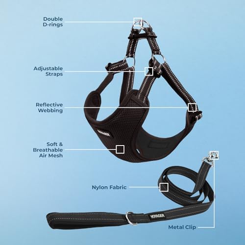 Best Pet Supplies Voyager Adjustable Step-in Flex Breathable Mesh Dog Harness - Image 4