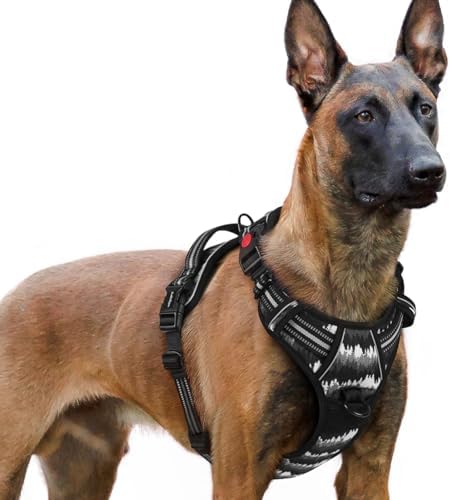 rabbitgoo Dog Harness for Large, Updated Easy On & Off by rabbitgoo