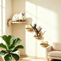 LSCQYYCC- Cat Wall Shelves, Cat Shelf by Unknown