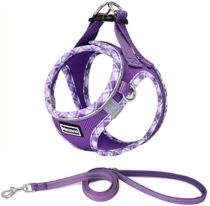 Mercano Soft Mesh Dog Harness and Leash Set, Step-in Reflective Breathable by Unknown
