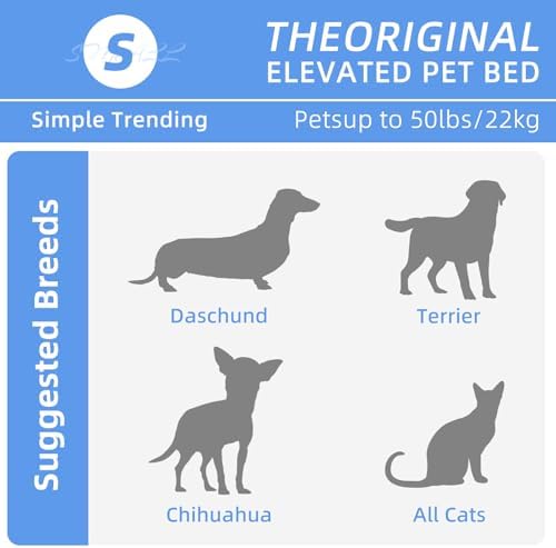 Simple Trending Raised Dog Bed for Small Dogs, Elevated Dog Cot - Image 2
