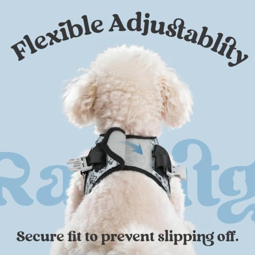 rabbitgoo Dog Harness Small Sized and Leash Set, Step in Soft Vest - Image 6