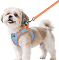 rabbitgoo Dog Harness Small Sized and Leash Set, Step in Soft Vest by rabbitgoo