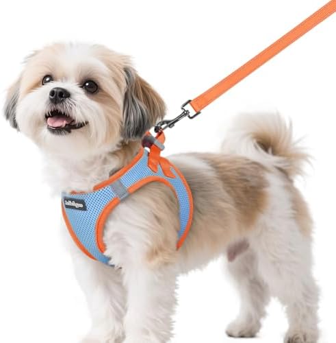 rabbitgoo Dog Harness Small Sized and Leash Set, Step in Soft Vest by rabbitgoo