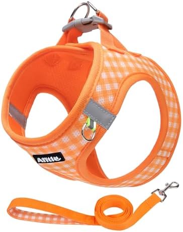 AIITLE Step in Small Dog Harness and Leash Set, Puppy Pet Vest by AIITLE-FORPETSBETTERLIFE