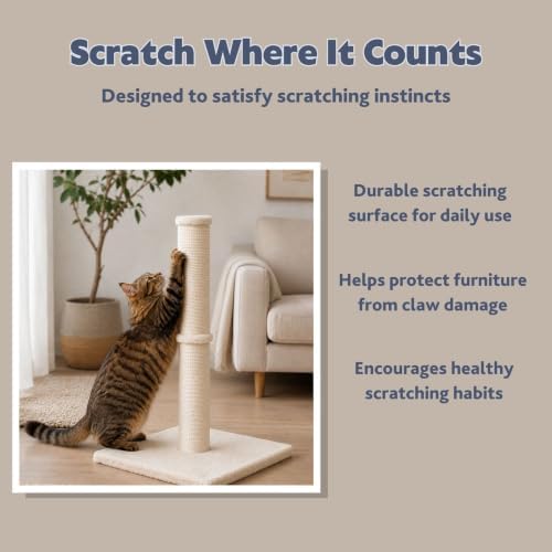 TRIXIE Parla 24.4-in Jute Cat Scratching Post - Image 3