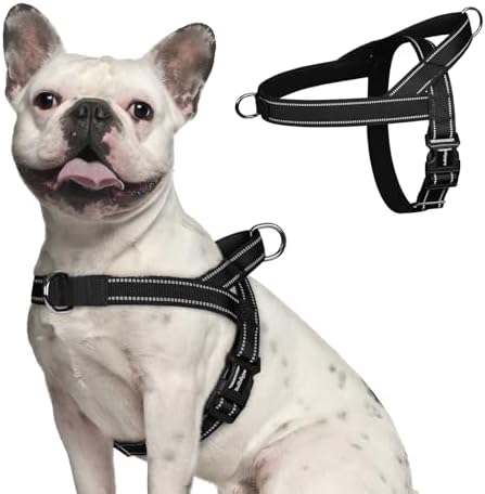 rabbitgoo Dog Harness No Pull, Quick Fit by rabbitgoo