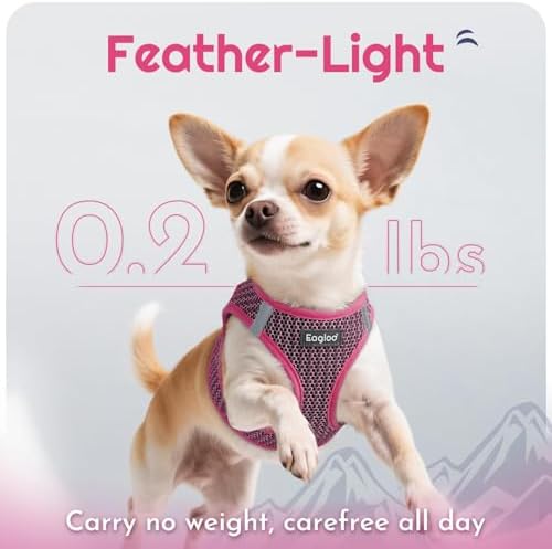 Eagloo Small Dog Harness and Leash Set, Step in Medium Small Puppy Pet Vest - Image 5