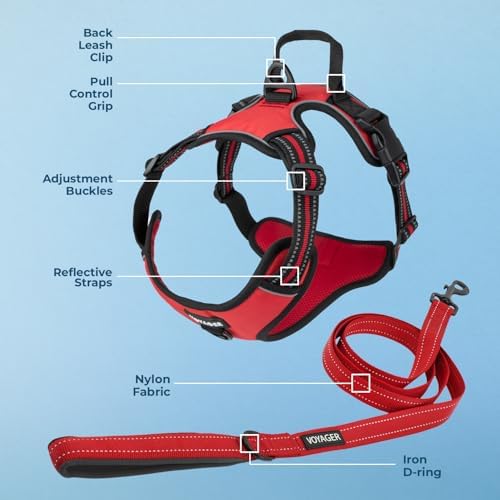 Voyager Dog Harness Dual Leash Attachment No-Pull Control Adjustable Soft but - Image 3