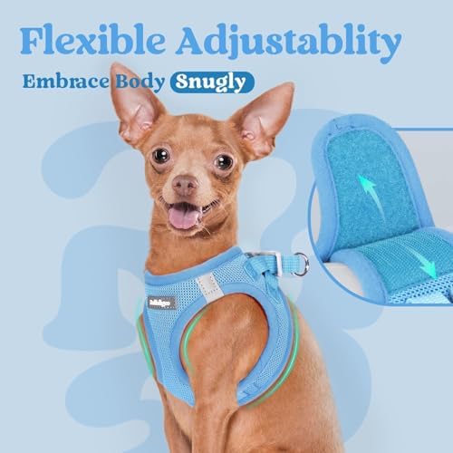 rabbitgoo Step-in Small Dog Harness, Puppy Vest - Image 6