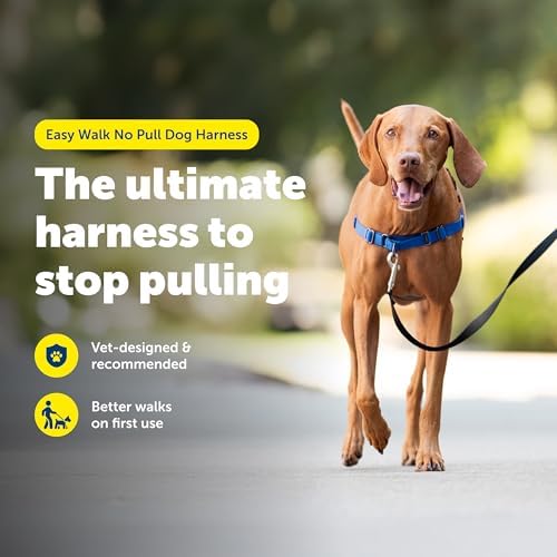 PetSafe Easy Walk Harness, No Pull Dog Harness, Royal Blue - Image 2