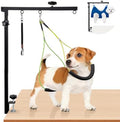Extendable Dog Grooming Table Arm, by Pronior