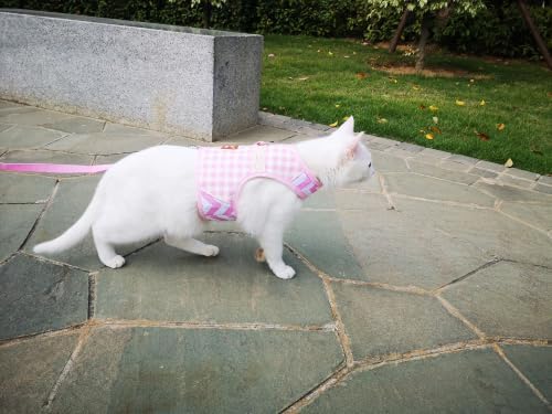 Cat Harness and Leash Set Escape Proof, Extra Large - Image 2