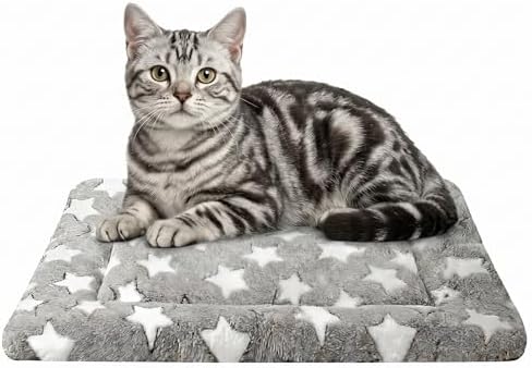 Cat & Dog Bed Mat by Unknown