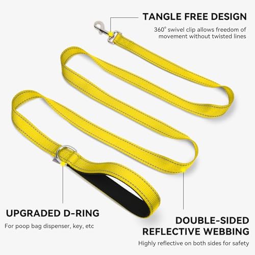 Joytale Reflective Dog Leash for Small Dogs, 5 FT x 3/4" - Image 5