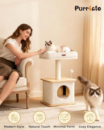 Small Cat Tree for Indoor Kittens - Image 6