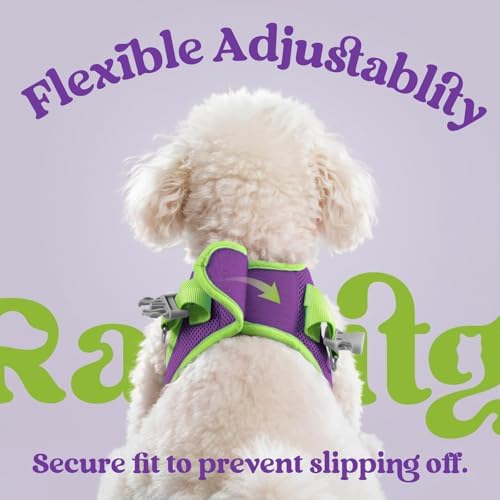 rabbitgoo Dog Harness Small Sized and Leash Set, Step in Soft Vest - Image 5
