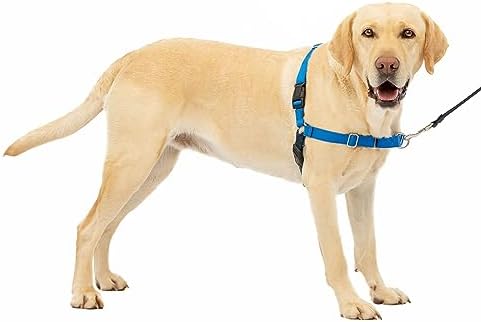 PetSafe Easy Walk Harness, No Pull Dog Harness, Royal Blue by PetSafe