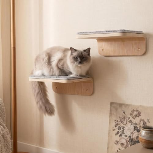 Wenqik 4 Pcs Cat Steps for Wall, Wooden Cat Climbing Shelf 10 x 10 x 4 Inch - Image 5