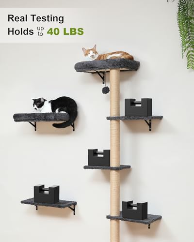 FUKUMARU Cat Wall Shelves Set, 70 inch Wall Mounted Tree - Image 6