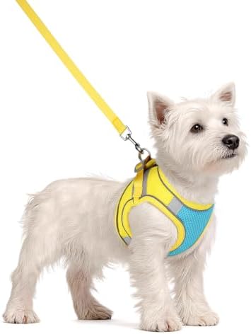 Solmoony Dog Harness for Small Medium Dogs No Pull, Puppy Harness and Leash Set - Image 2