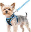 rabbitgoo Dog Harness Small Sized and Leash Set, Step in Soft Vest by rabbitgoo