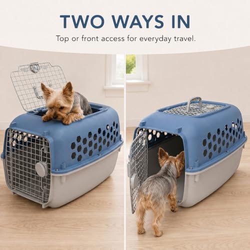 Hard-Sided Pet Carrier for Dogs and Cats, Pet Travel Kennel for Small Dogs - Image 4