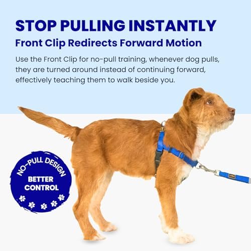 Easy Walk No Pull Dog Harness - Image 2
