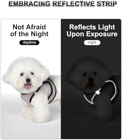 Dog Harness Small Sized and Leash Set, Step in Soft Light Puppy Vest, - Image 3