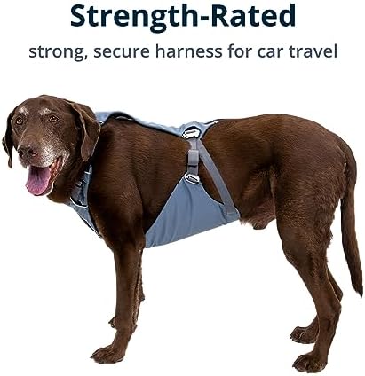 Ruffwear, Load Up Dog Car Harness, Slate Blue - Image 4